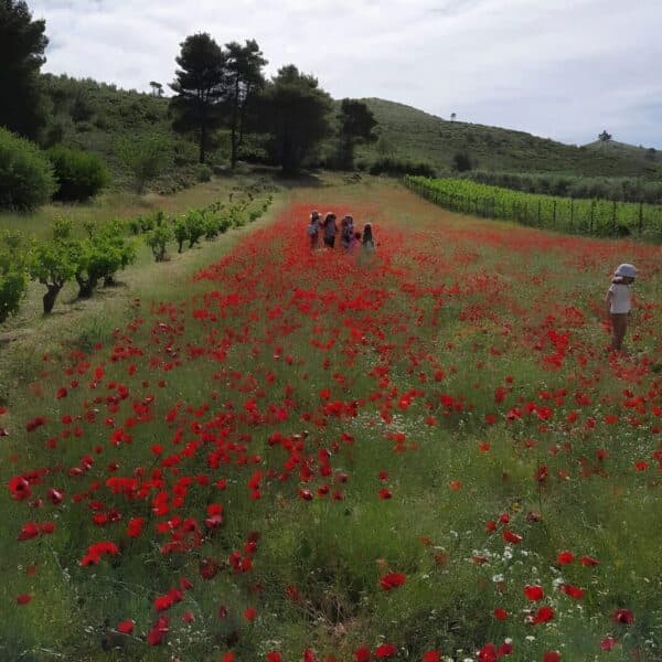 Dans le nord, une jeunesse confrontée au déclin démographique et au manque d’avenir