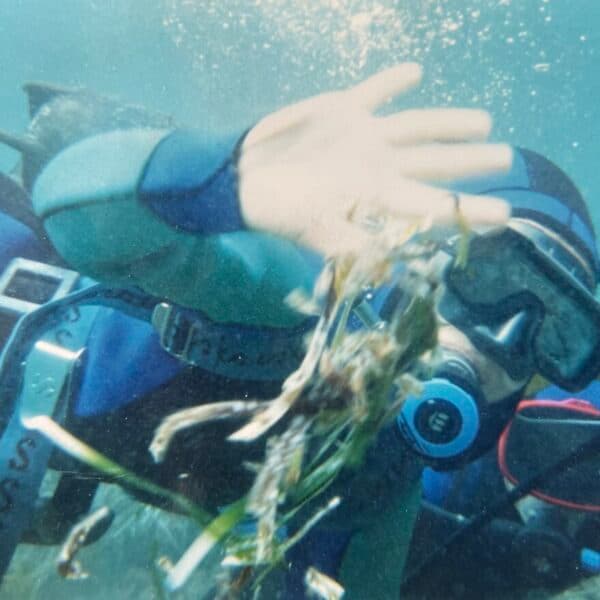 Planète Mer : agir, prouver, transformer