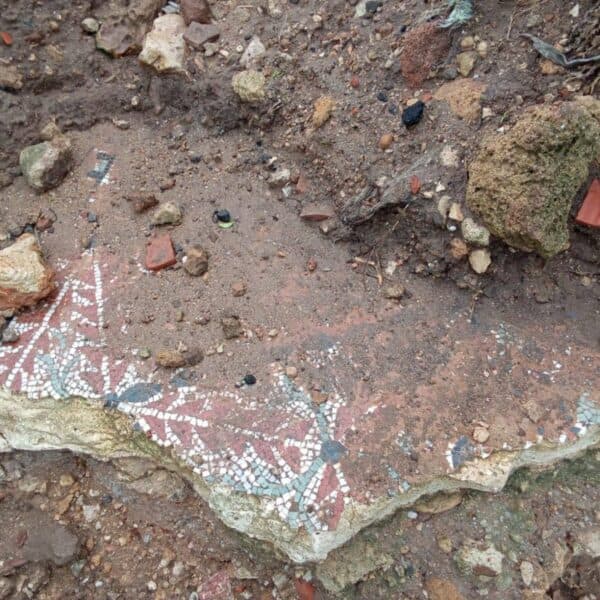 Un patrimoine oublié révélé par les intempéries