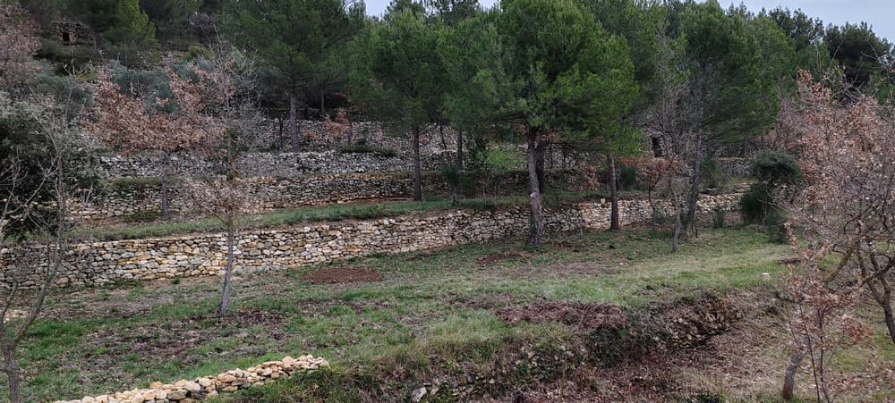 Ventoux : apprendre d’hier pour préparer demain