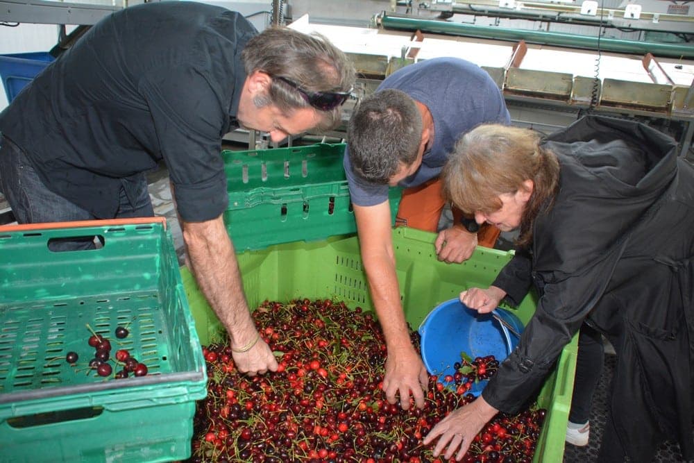 PAT du Ventoux : manger mieux, gaspiller moins !