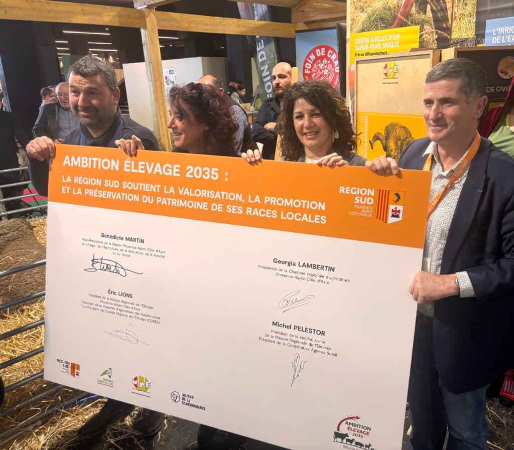 Alpes du Sud : Ambition Élevage 2035, quand la montagne s’organise pour valoriser ses ressources