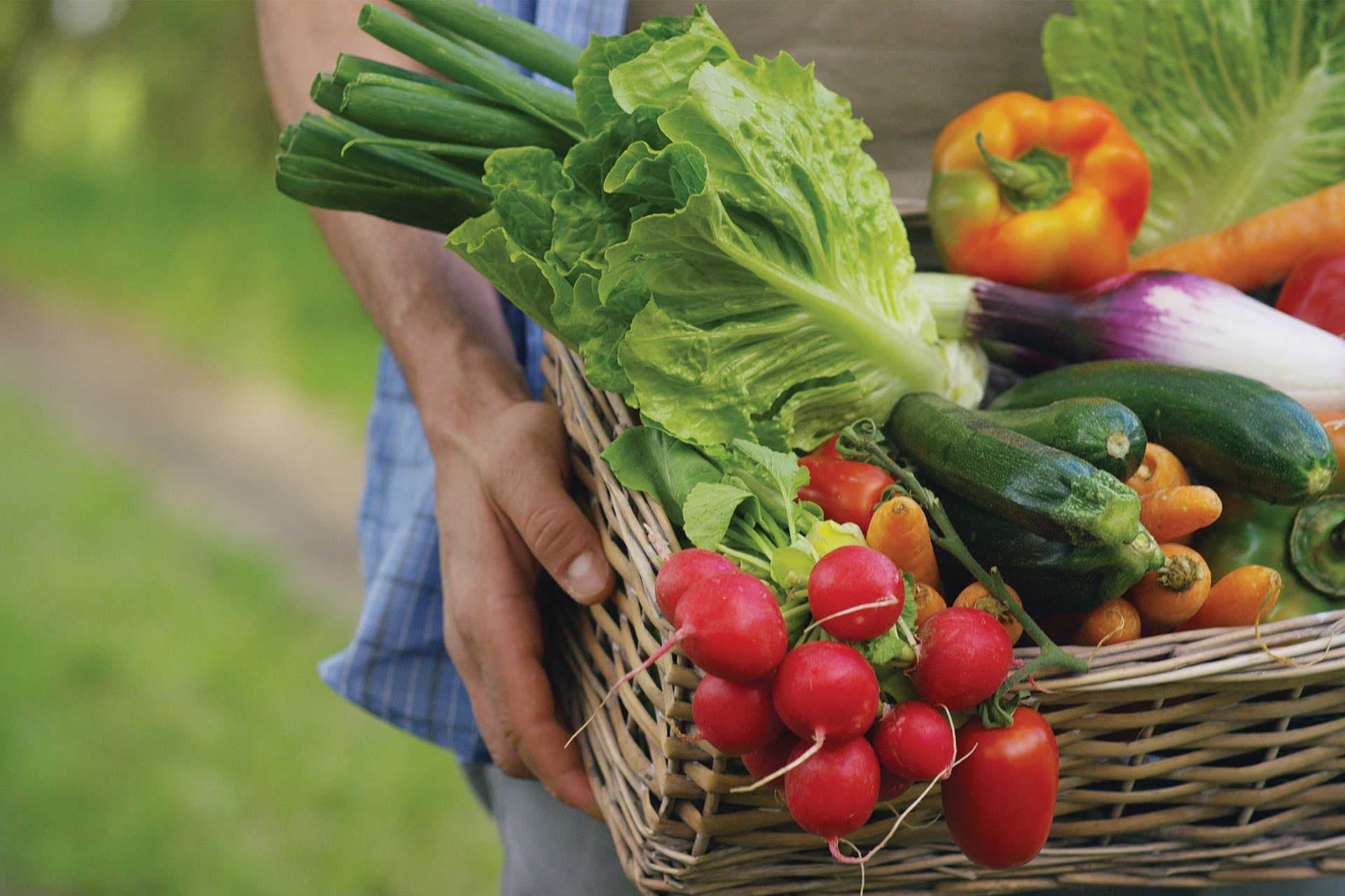 Opera Mundi : Nourrir et relier les mondes