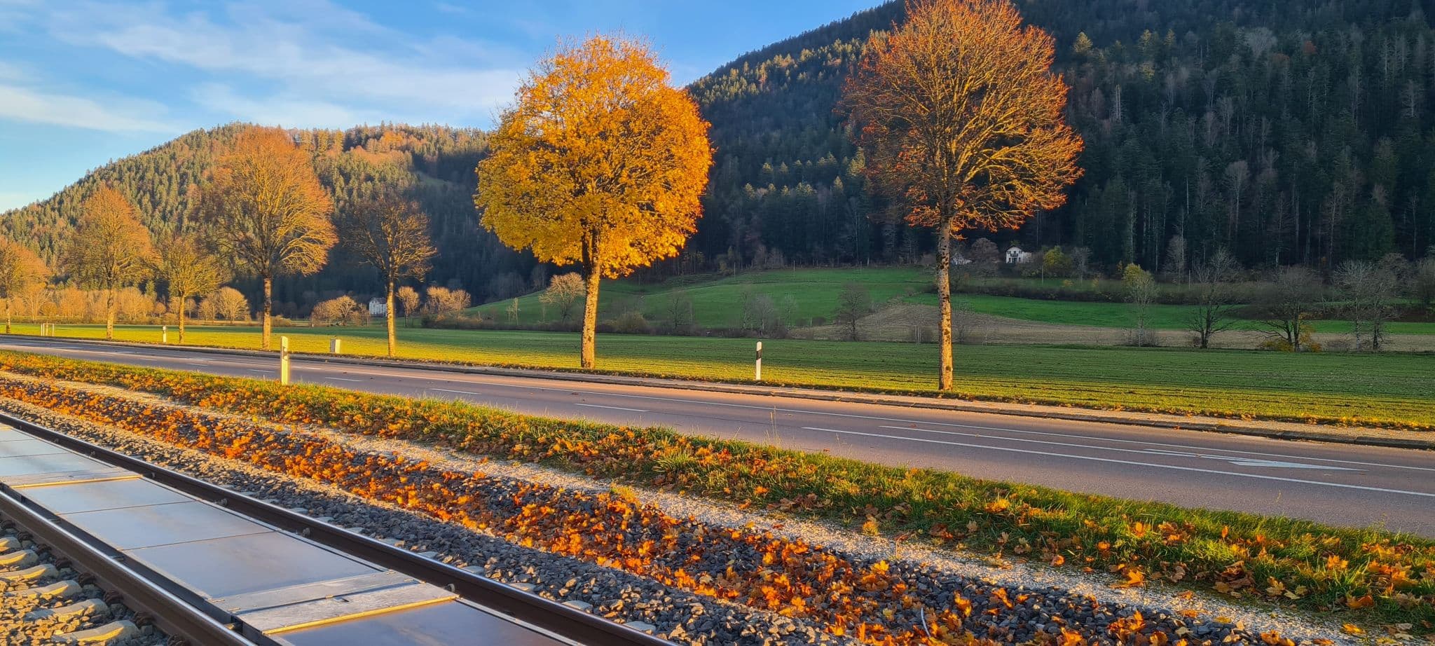 Une centrale solaire entre les rails