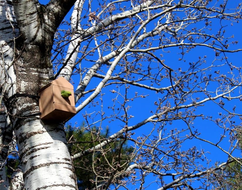 La Société des Eaux de Marseille dorlote la biodiversité