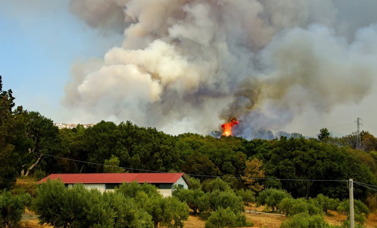 Un kit clé en main pour protéger sa maison des feux de forêt