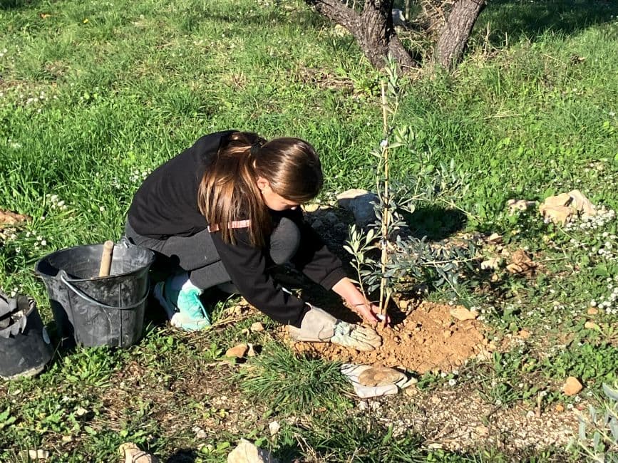 Sausset panse les plaies de l’incendie de 2020