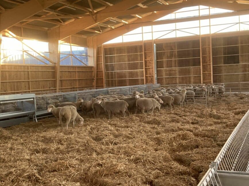 Le Domaine du Merle au cœur des agricultures de Provence