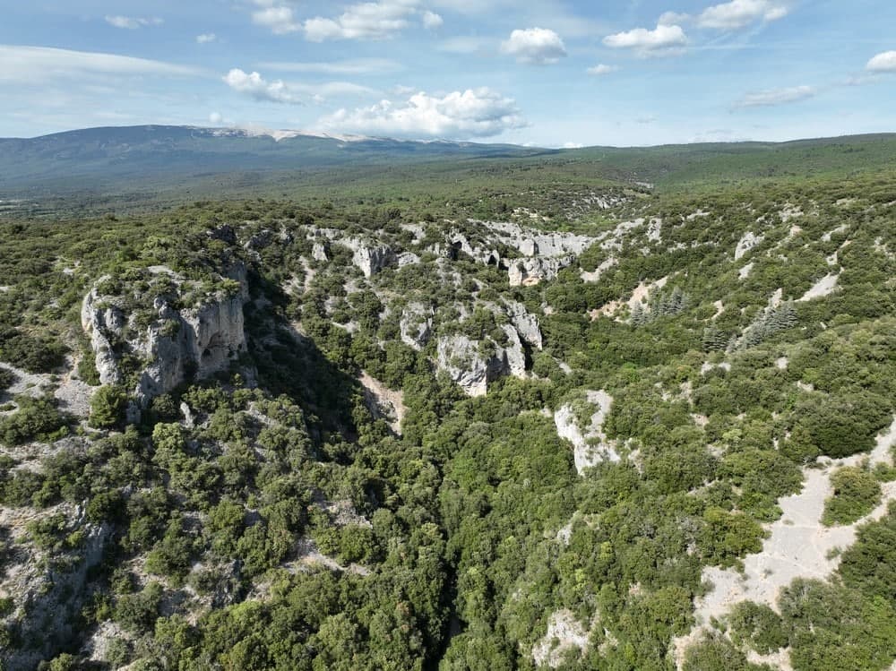 La première Réserve naturelle régionale du Vaucluse est née !