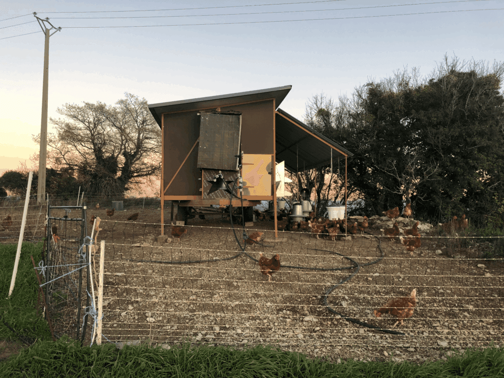 Fermes Terre de Liens : le bon sens paysan au service d’exploitations robustes
