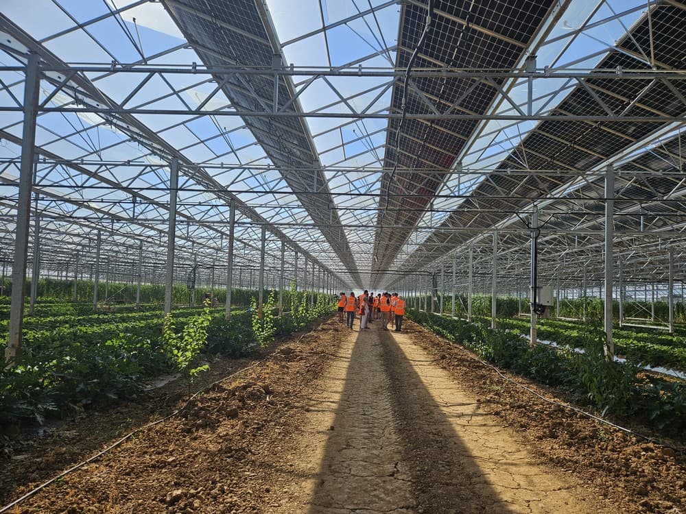 Sous les panneaux solaires, à l’aise les fraises ?