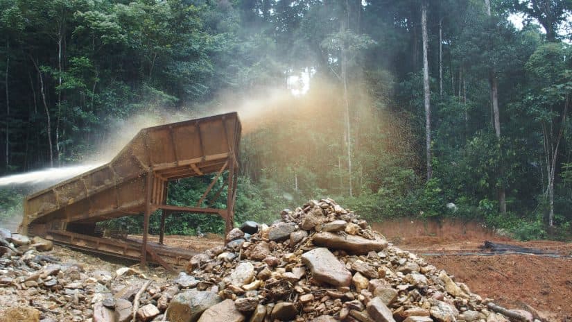 L’écoguide qui défend la forêt amazonienne de Guyane